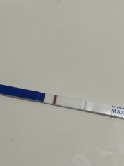 March 2025 TTC support group