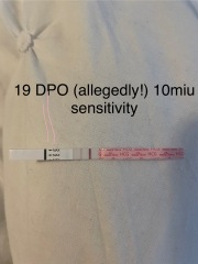 Any ideas on this situation?