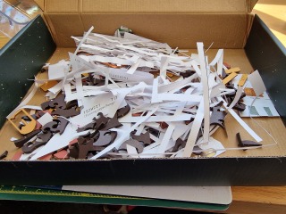 The Bluestocking - where Spring has sprung and the grass is riz.