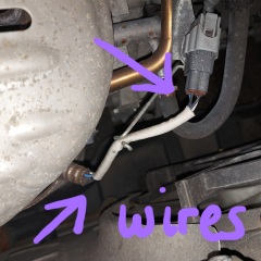 Do I have a Blue Peter car? (pics attached)