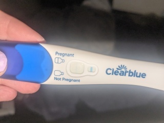 Could I be pregnant