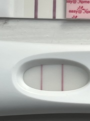 FRER 20DPO not getting darker 😭