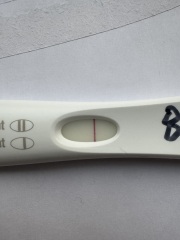 March 2025 TTC support group