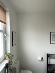 To paint or not to paint?