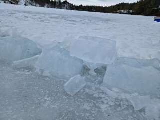 The Year Round Nigel Slater Discussion thread