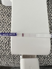 TTC March - faint positive 12dpo??
