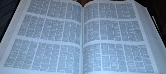 The Bluestocking - where Spring has sprung and the grass is riz.