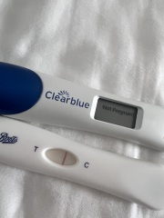 I am so confused please help