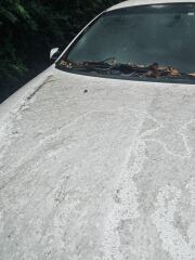 To wonder what these squiggly marks are on my car?