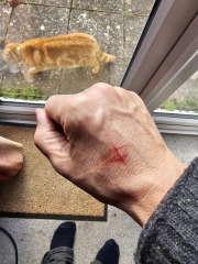 Lap dances, strippers and punch-ups - the Excellent Cats arrange a stag party