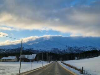 The Year Round Nigel Slater Discussion thread