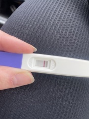 Positive Sure sign test but negative clearblue digital?