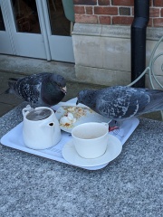 Come and tell us your dull and unexciting news 33: Calmly through the day