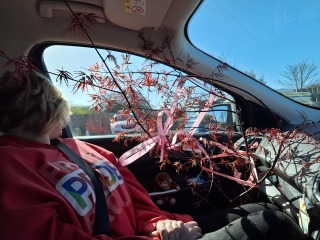 The Year Round Nigel Slater Discussion thread