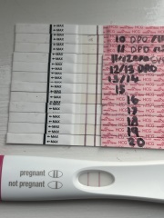 FRER 20DPO not getting darker 😭