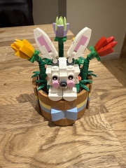 To show me your Lego collection?