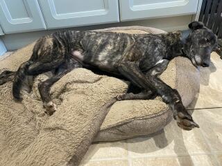 DIET FAILED AGAIN - maybe this time we're 7th time lucky, all are welcome