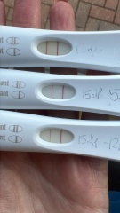 Progress on cheap test not First Response