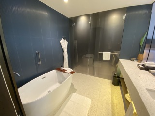 Budapest - nice hotels?