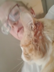 What is this on my cat?