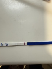 Positive clear this morning then a fainter line then a negative all same tests?