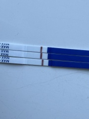 Positive clear this morning then a fainter line then a negative all same tests?