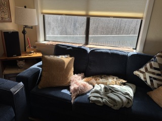 Come and tell us your dull and unexciting news 33: Calmly through the day