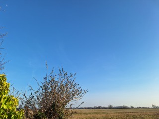 The Year Round Nigel Slater Discussion thread