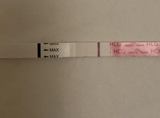 Indent or is this it… last cycle before embryo transfer?!