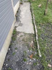 Advice for garden path