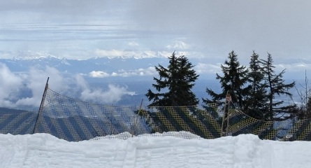 Come and tell us your dull and unexciting news 33: Calmly through the day