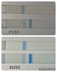 Line Progression but still testing 1-2 on Clear Blue