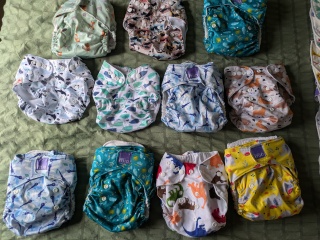 If you use reusable nappies, how much would you pay for this?