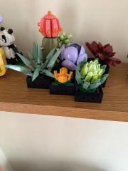 To show me your Lego collection?