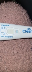 Has anyone found themselves to be pregnant even after testing negative?