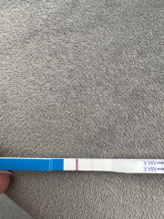 Accu News / Home Bargains Strip Test