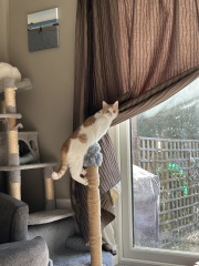 Show me the most unhinged looking photo you have of your cat