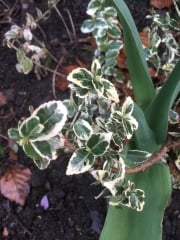 Please help identify these.