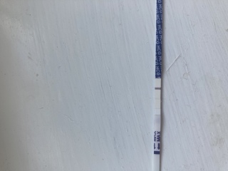 to worry how faint these pregnancy tests are?