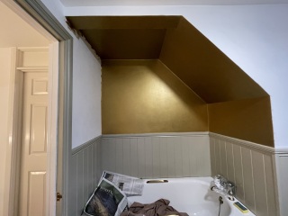 To ask you to show me your bathrooms?
