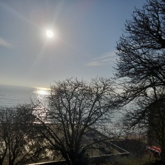 The Happy Place Café and Tilly's dog wash is still open.