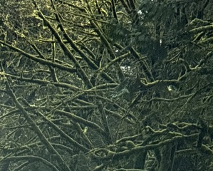 Come and tell us your dull and unexciting news 33: Calmly through the day