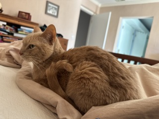 Come and tell us your dull and unexciting news 33: Calmly through the day