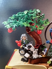 To show me your Lego collection?
