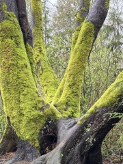 Come and tell us your dull and unexciting news 33: Calmly through the day