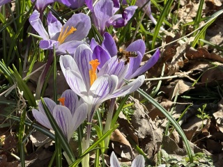 The Year Round Nigel Slater Discussion thread