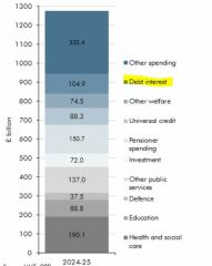 The UK has borrowed too much money, has a massive debt  - £105 billion goes on paying our debt interest