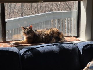 Come and tell us your dull and unexciting news 33: Calmly through the day