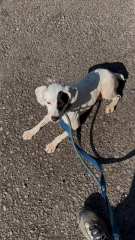 Thread 20 Starmer - Spring Statement