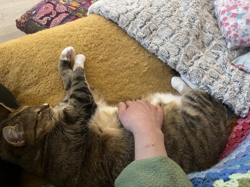 Hymns in Minor Keys & the Russian Easter Overture - the Excellent Cats ignore Culture.....